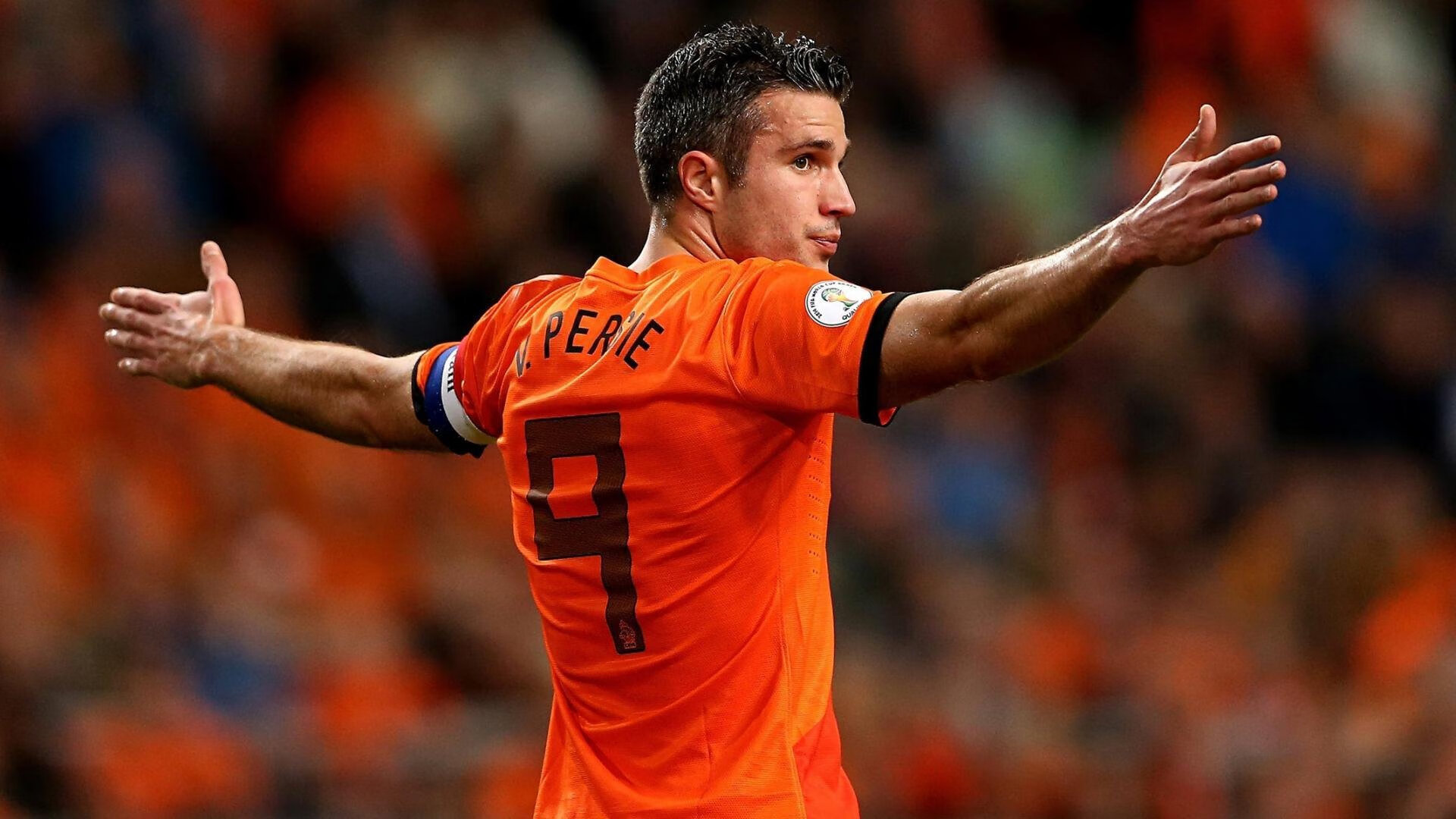 自由泳项目荷兰男将展现速度，荷兰弟游泳